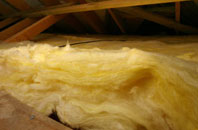 Water Newton pitch roof insulation